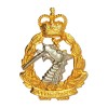 Metal Insignia